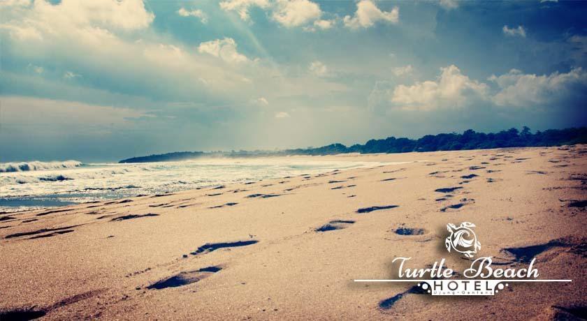 Turtle Beach Hotel Ujunggenteng ห้อง รูปภาพ